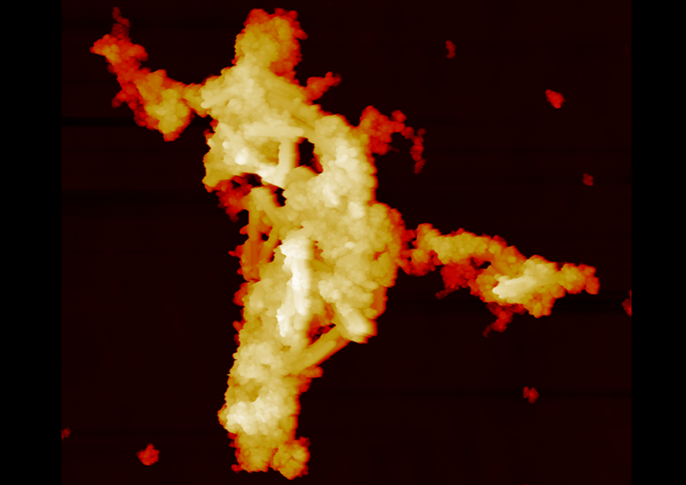 AFM topography of a nanoparticle mixture