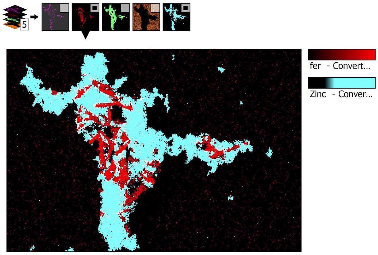 EDX data. Areas high in zinc are shown in blue; areas high in iron are displayed in red.