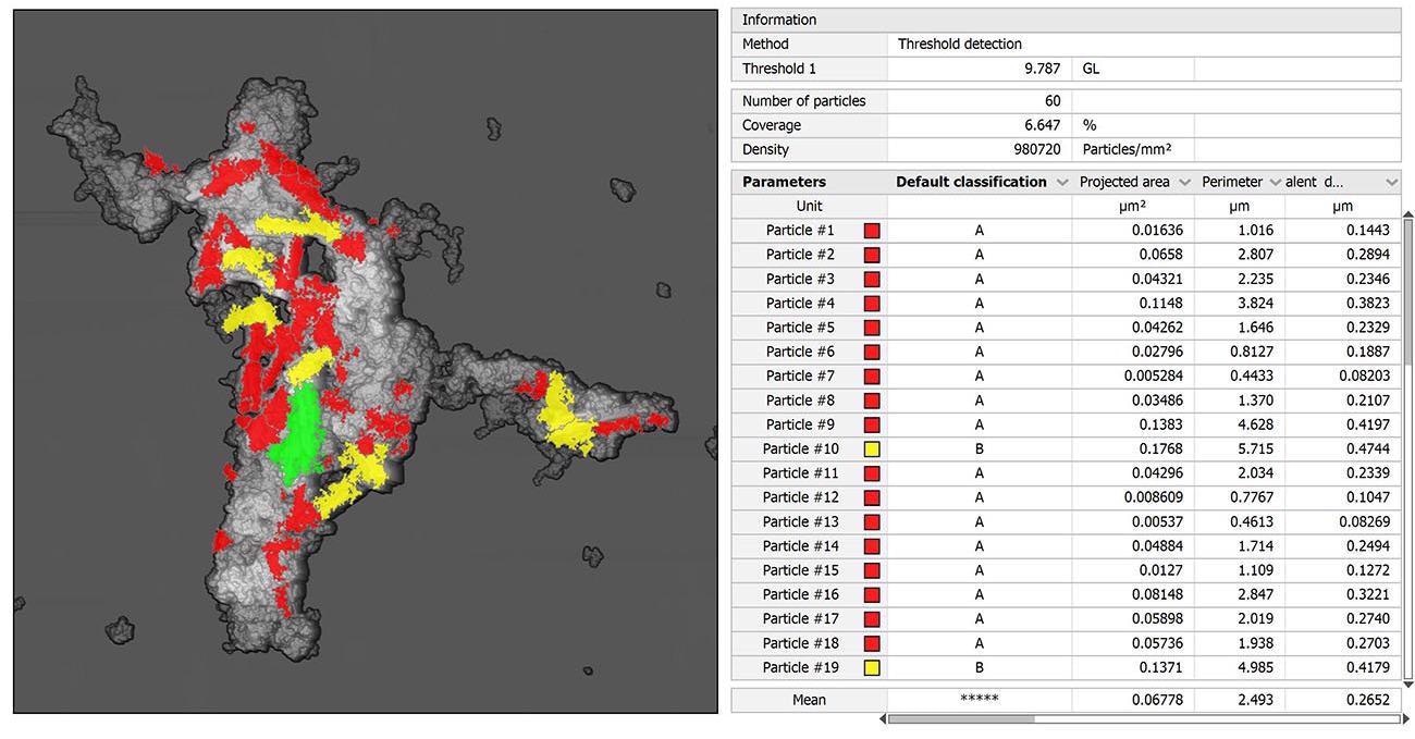 Particle analysis performed on correlated data showing areas, volumes etc.