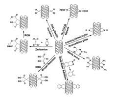 Schematic examples of surface functionalization of CNTs. (Illustration from Zhao et al.12