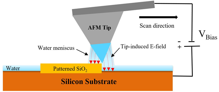 Schematic illustration of Bias-Assisted AFM Nanolithography [4, 5].