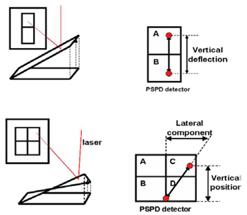 Schematic illustration of laser position on PSPD in the operation of AFM (top) and LFM (bottom).