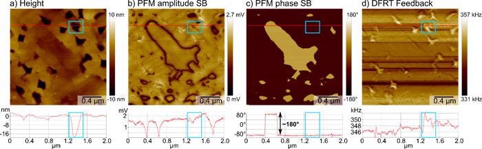 Results of vertical DFRT PFM measurement on a BFO sample. a) Sample topography in the height channel with line profile extracted along the red line. Exemplary hole outlined by blue box in image and profile. b), c) PFM amplitude and phase measured on the second sideband (SB) at f1+f1m with an amplitude of 1 V, resolving the position of the domain walls and the domain orientation, respectively. The line profiles extracted along the red line show amplitude minima at the domain walls and a full 180° phase contrast, as well as minimal topographic crosstalk (blue box). d) Frequency signal of the DFRT feedback imaged the compensated frequency shifts introduced by holes in the topography (blue box)