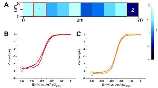 (A) Electrochemical current maps at -0.5 V vs Ag/AgCl on HOPG surface. Image is generated from a series of LSVs taken with the same nanopipette filled with 5mM [Ru(NH3)6]3+ and 50 mM KCl. The scan rate is 10 mV/s with the bias voltage starting from 0 and swept to -0.5 V vs Ag/AgCl. (B) & (C) Individual LSVs taken at position 1 and 2.