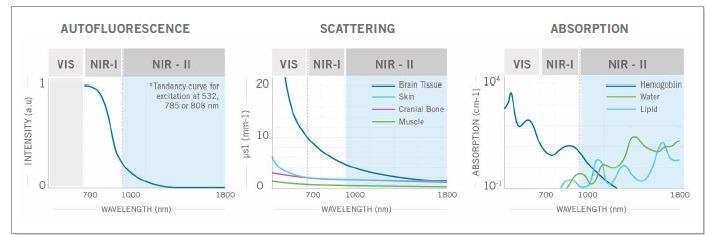 The weaker autofluorescence by the tissues in the NIR-II window contributes to enhancing the signalto- background ratio. The reduced scattering and minimal absorption of emission signals by the tissues helps to improve spatial resolution and depth penetration, which can be up to 10x better