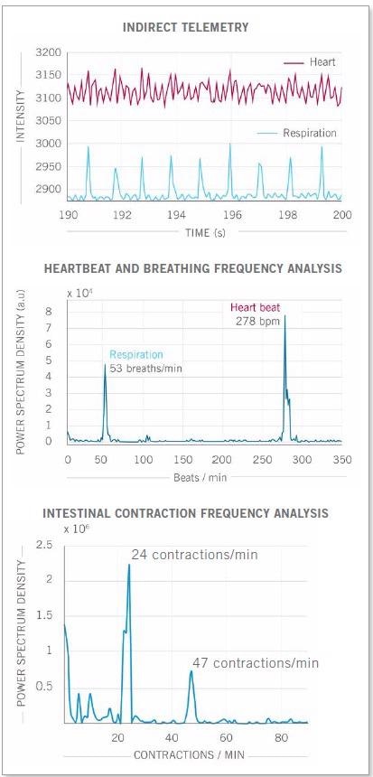 Real-time imaging data on heartbeat, respiratory rate and intestinal contractions obtained on Photon etc.’s IR VIVO reflect values found in the literature
