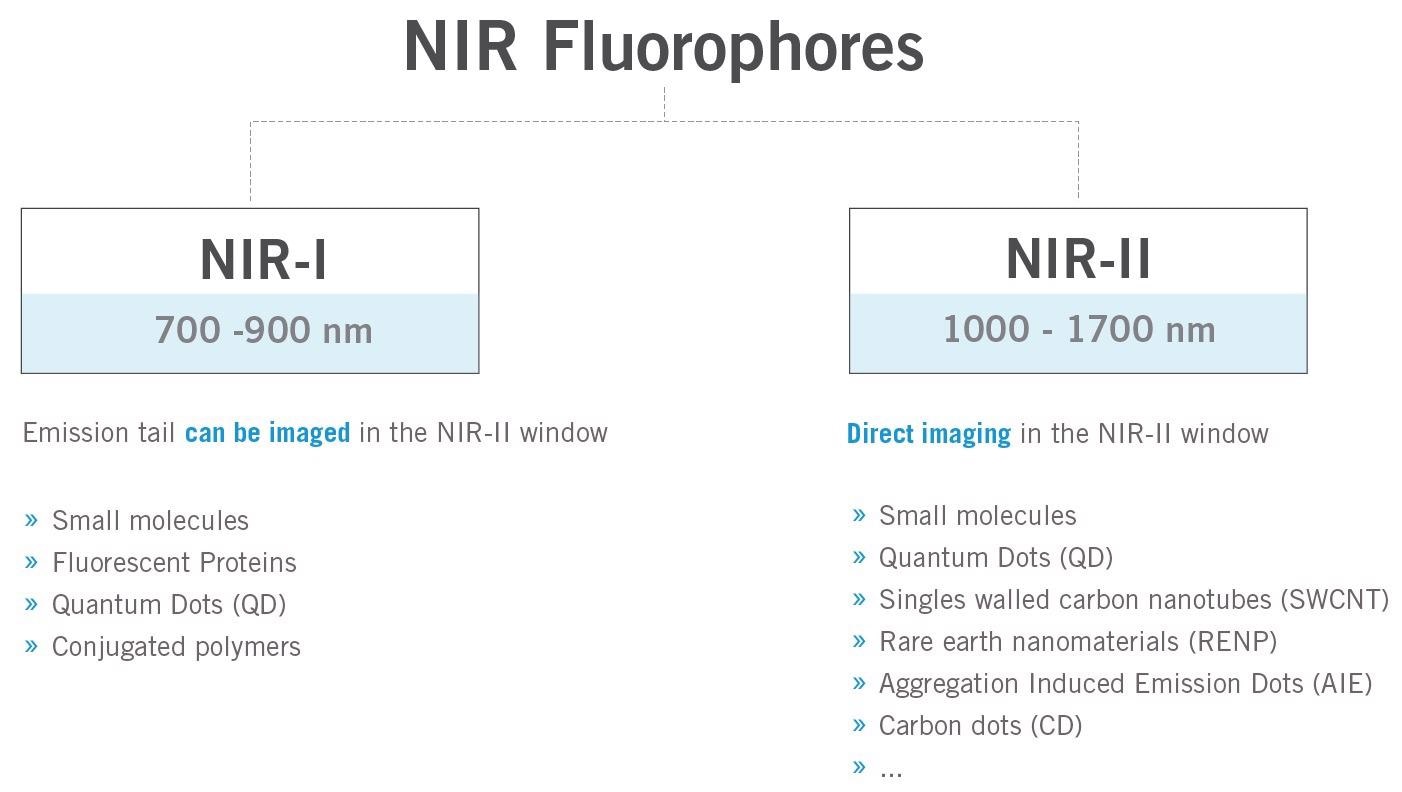 Brief overview of the typical fluorophores for in vivo fluorescence imaging in the near-infrared region