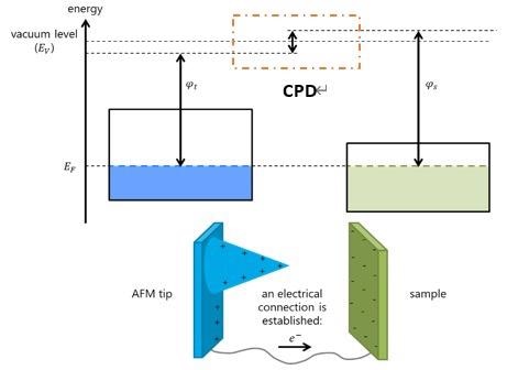 Contact Potential Difference between an AFM tip and sample.