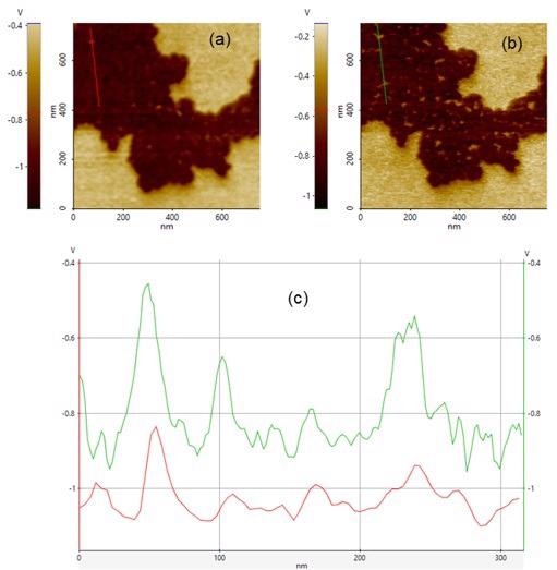 Surface Potential Difference of F14H20 via Sideband KPFM. (a) Surface Potential imaged with probeNSC14/Cr-Au. (b) Surface Potential imaged with probe NSC36C/Cr-Au. (c) Line profiles taken along redline in (a) and green line in (b).
