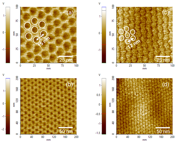 PFM amplitude images. Honeycomb Moiré patterns with periodicity 15 nm on monolayer graphene/hBN (a) and (b), and with periodicity 12 nm on twisted bilayer graphene/hBN (c) and (d).