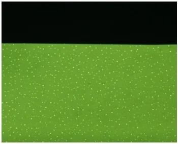 A transmission mode micrograph closes up of window 1 shows a multitude of small light leaks after the first 40 hours of exposure to Evactron cleaning. No Vacuum leak was found. The light leaks did not change with increasing exposure time and were not repeated on other windows. The dark area is the underlying support grid.