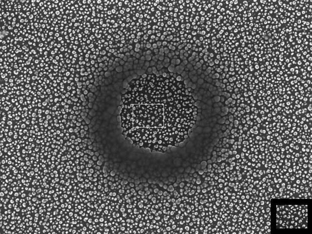 Etched silicon “grass” sample at 50,000 times magnification, which was bombarded with a 5 kV, 10 pA electron beam at 500,000 times magnification.