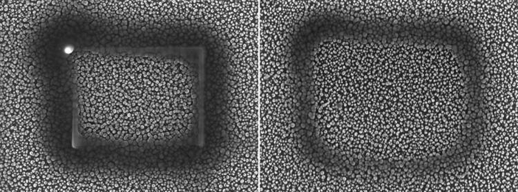 Two locations of a silicon “grass” sample irradiated for 10 minutes without (left) and with (right) the application of liquid N2 to cool the anti-contamination device (50,000x).