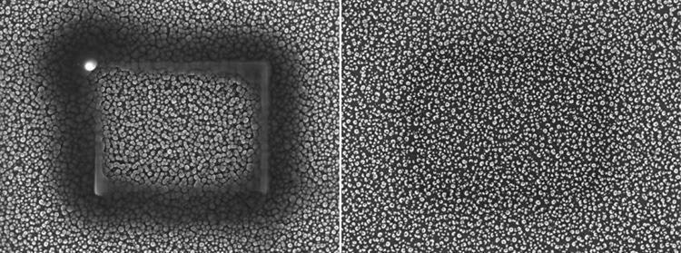 Two locations of a silicon “grass” sample irradiated for 10 minutes before (left) and after (right) the use of an Evactron anti-contamination device. 50,000x.