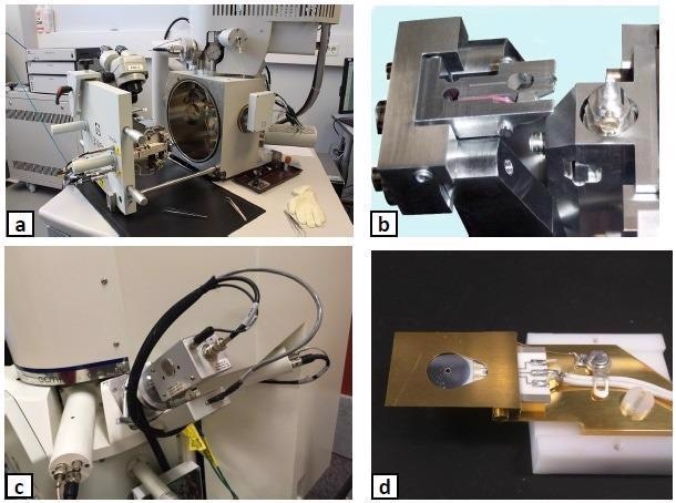 The hardware utilized for SBFSEM experiments: (a) a typical SBFSEM system, (b) details of the Gatan 3View microtome, (c) the Evactron® EP plasma cleaner mounted on the Zeiss Sigma SEM chamber, (d) a contaminated backscatter detector.
