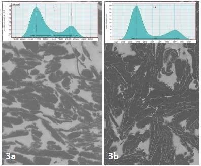 A 14% increase in contrast was seen after plasma cleaning a region of colloidal silver dag surrounding the SBFSEM specimen.