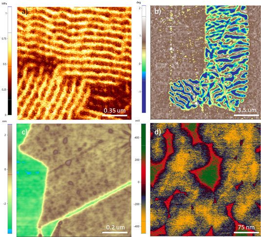 Automatic Atomic Force Microscopy (AFM) with the FX40