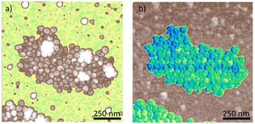 Automatic Atomic Force Microscopy (AFM) with the FX40