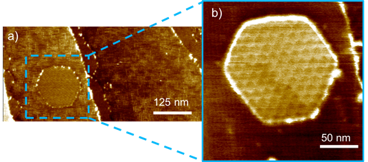 Automatic Atomic Force Microscopy (AFM) with the FX40