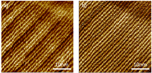 Automatic Atomic Force Microscopy (AFM) with the FX40