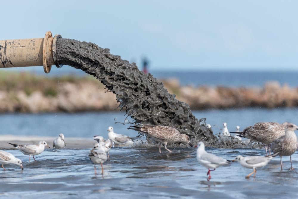 sludge polluting water