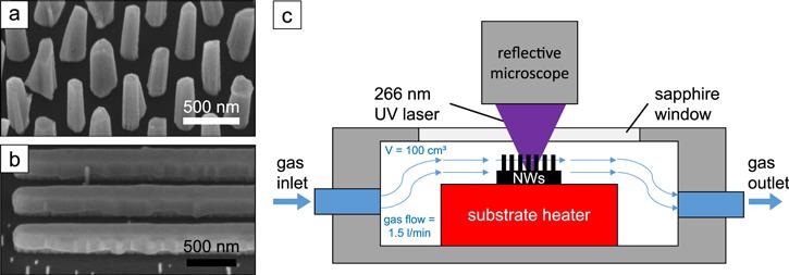 (a) SEM image of GaN NWs on a Si substrate and (b) GaN nanofins on an AlN substrate in 45°-tilted view. (c) Sketch of the measurement chamber with gas flow and resistive heater.