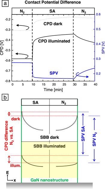 CPD of an m-plane bulk GaN plate in the dark and under 340 nm illumination with an excitation intensity of 6 mW cm-2. The atmosphere was changed from dry N2 to dry SA and back. (b) Schematic drawing of the band bending at a GaN NS surface (green line) in SA (left) and N2 (right) atmosphere at room temperature. The dashed/solid black lines represent the SBB in the dark/under illumination. The red lines illustrate the CPD differences between SA and N2 atmosphere in the dark (upper part) and under illumination (lower part). The corresponding SPV in SA and N2 are indicated in blue.
