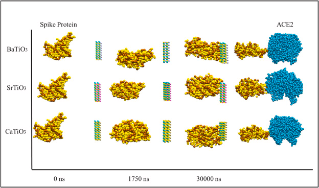 The process of encountering the spike protein with BaTiO3, CaTiO3, and SrTiO3 nanostructure in 0 ns, 1750 ns, and 3000 ns. The distorted spike protein then collides with the ACE2.