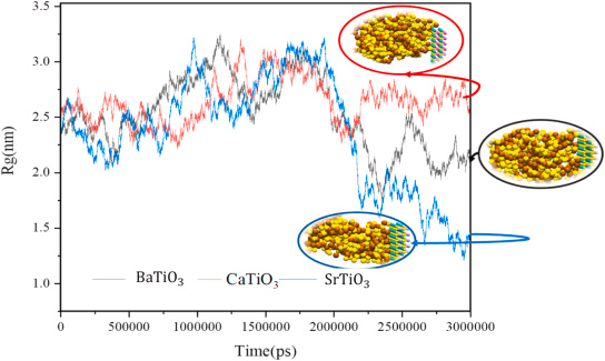 The radius of gyration for BaTiO3, CaTiO3, and SrTiO3 encountering spike protein.