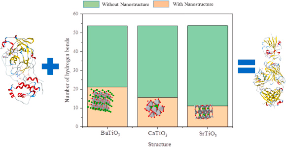 The number of hydrogen bonds between spike protein and ACE2 in the presence and absence of BaTiO3, CaTiO3, and SrTiO3 nanostructures.