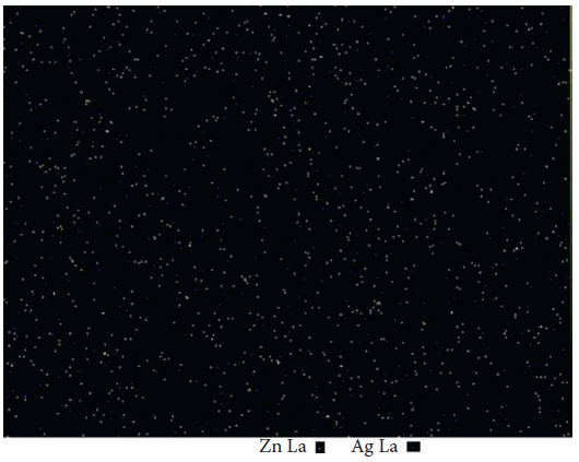 Zn and Ag map of the resin composite containing 10 wt% Ag/ZnO. Light yellow spots represent Zn, and blue ones represent Ag element.