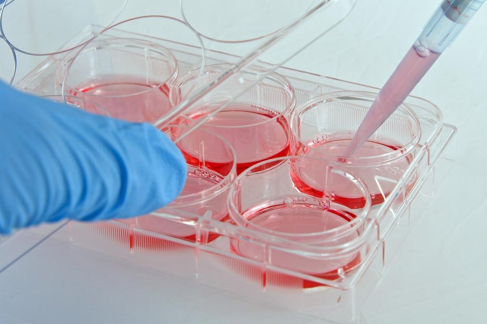 cell culture, gold thin films biomedical applications