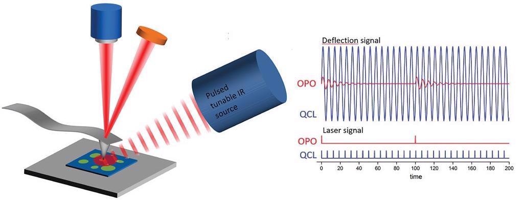 Optical diagram of an AFM-IR experiment showing the difference between the signal responses using a 1-kHz repetition rate OPO laser source and a QCL source with its repetition rate tuned to a contact resonance frequency mode of the AFM cantilever. Adapted from Marcott et al5