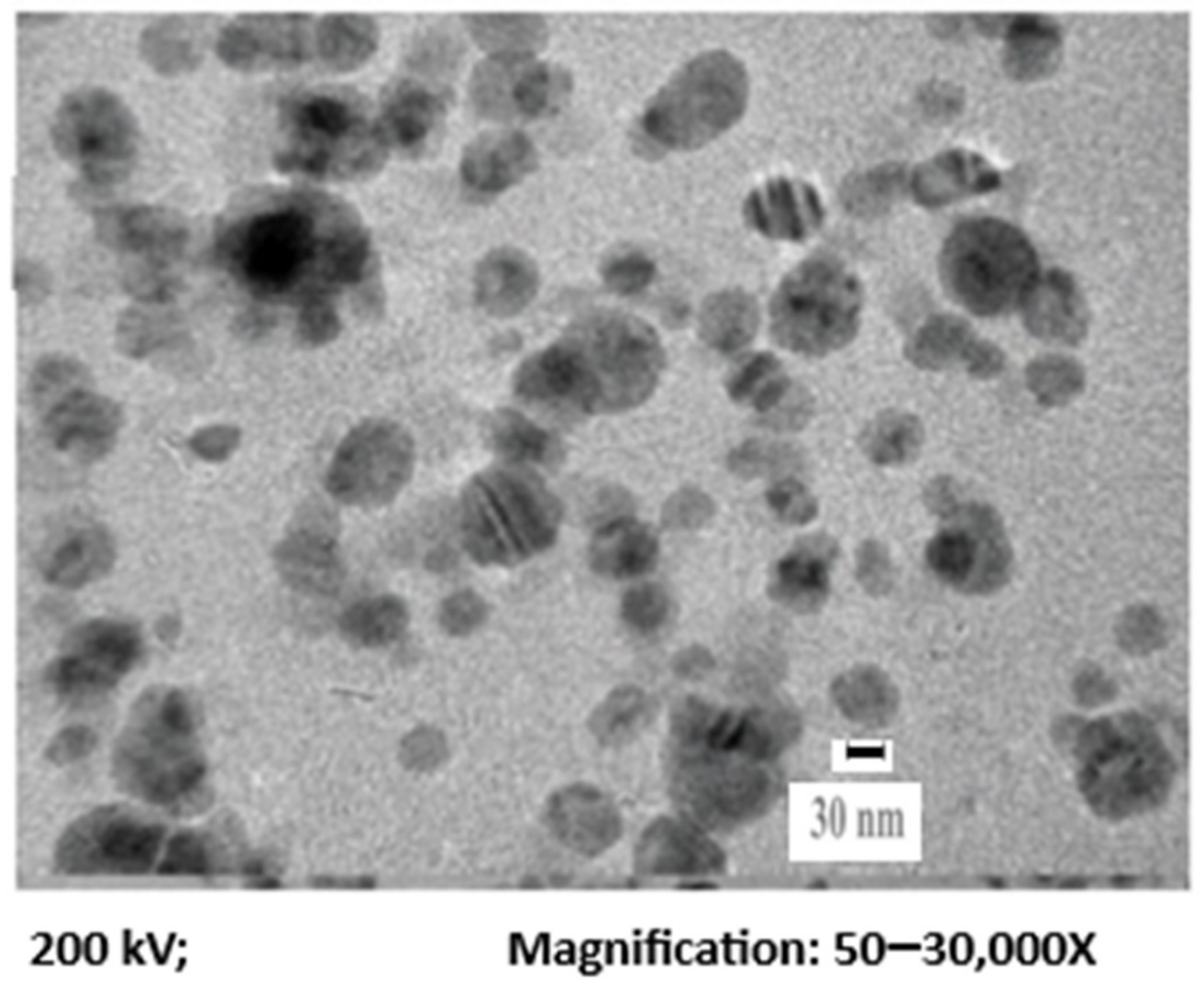 TEM of the synthesized AgNPs.