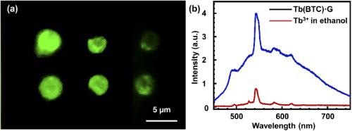 (a) fluorescence image of the Tb(BTC)·G, (b) fluorescence spectrum of Tb(BTC)·G (red) and Tb ions in ethanol.