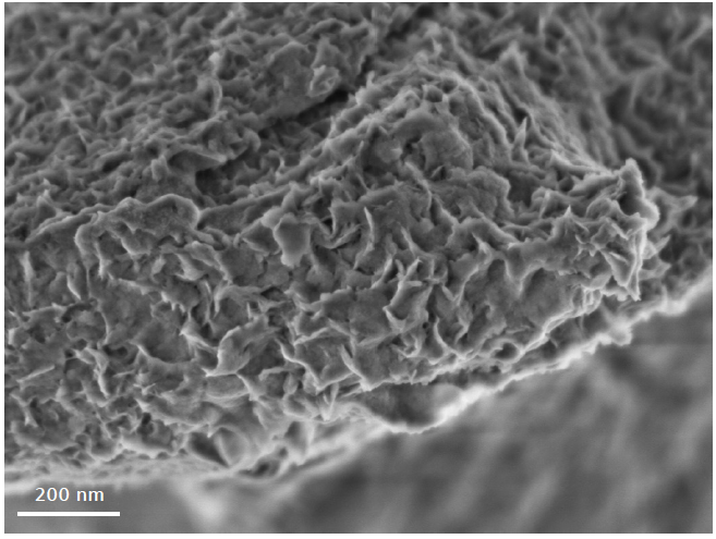 High resolution image of montmorillonite particles obtained at 800 V beam energy. Even though the sample is non-conductive, fine flakes on the fractured surface can be well resolved.