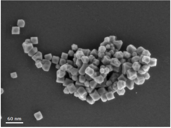 High resolution image of FeMn magnetic nanoparticles obtained at 1 kV beam energy. Even though the sample is magnetic, the highest resolution can still be achieved.