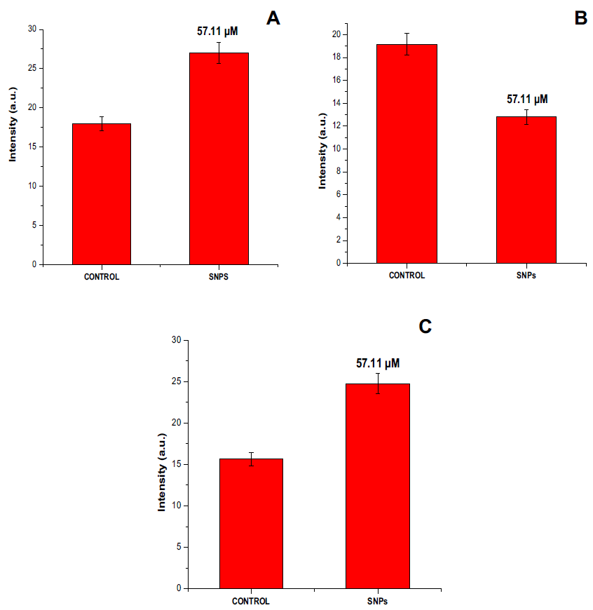 Graphical representation in terms of percent (A) nuclear condensation, (B) mitochondrial content, and (C) intracellular ROS generation. All the data were expressed in the mean ± SD of three experiments.