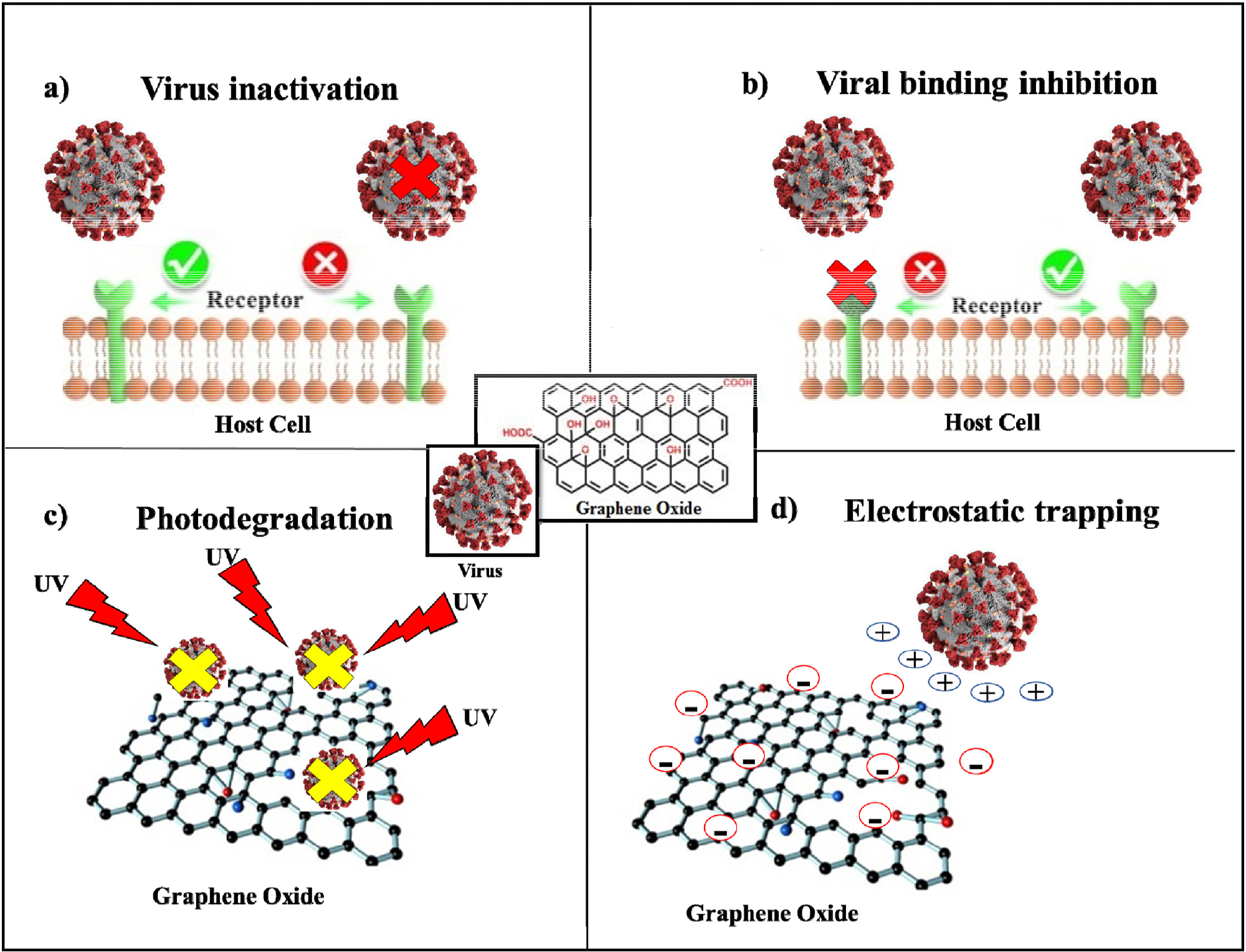 Description of the main mechanisms of GO’s antiviral activity, (a) including virus inactivation, (b) viral binding inhibition, (c) photodegradation, and (d) electrostatic trapping.