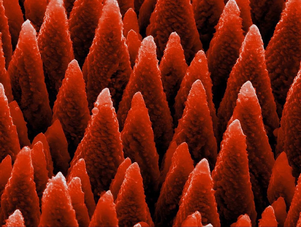 Using AFM for Nanostructure Analysis