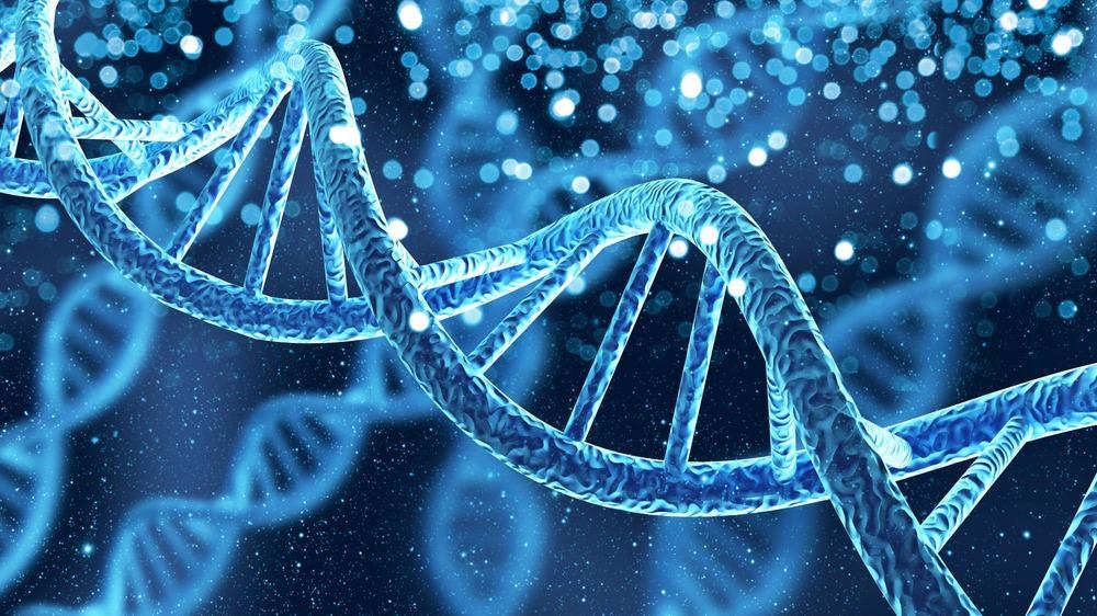 Polymeric Nanoparticles and the Future of Gene Delivery Methods