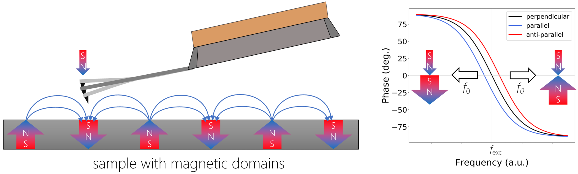 A schematic representation of MFM. If the local magnetic moments are parallel, i.e. magnetic field in the sample is aligned in the direction of the tip magnetization, there is an attractive force causing a negative phase shift (blue curve), in the anti-parallel orientation (red curve), the repulsive force causes positive phase shift from the excitation frequency fexc. There is no shift in case when the magnetic fields of tip and sample are perpendicular to each other.