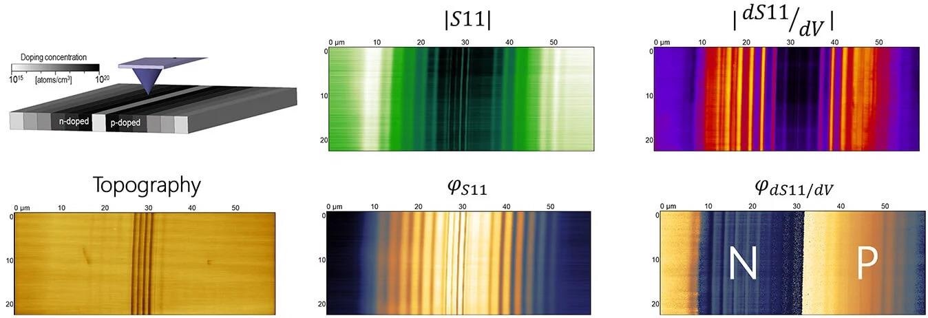 An S11 measurement (amplitude and phase) and a dS11/dV measurement (amplitude and phase) of an Infineon SCM calibration sample. Clear contrast between the regions of different dopant density can be observed in both the S11 and the dS11/dV measurements. The dS11/dV measurement indicates polarity and the type of the dopant (n or p) can be determined. The schematic image of the sample is taken from Ref. 2.