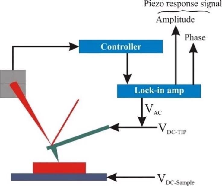 Schematics of (a-b) vertical and (c-d) lateral PFM mode. The applied electric field (E) and polarization (P) direc-tions are denoted with arrows. Vector PFM is performed by combining data with a 0° and 90° rotation of the sample to obtain 3D vector information of the response.
