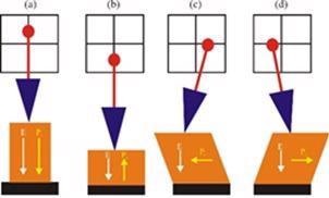 Schematics of (a-b) vertical and (c-d) lateral PFM mode. The applied electric field (E) and polarization (P) directions are denoted with arrows. Vector PFM is performed by combining data with a 0° and 90° rotation of the sample to obtain 3D vector information of the response.