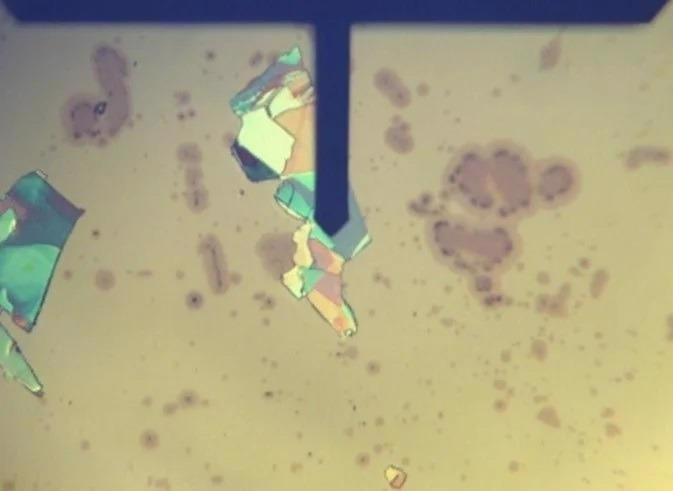 A top view camera image is essential for most PFM samples. This image shows flakes of 2D material on a gold substrate. Flakes of different thickness appear as different colors in the image.