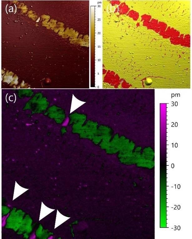 Vertical PFM imaging of 2D ferroelectric CuInP2S6 on Silicon substrate. (a) amplitude (b) phase and (c) amplitude projection, all represented as a color overlay on the topography. Image size: 5x5?µm2 (color scales do not include illumination effects from the topography visualization).