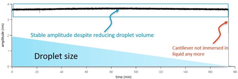 Stable amplitude in a changing environment.