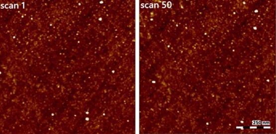 Stable imaging of a silicon surface.