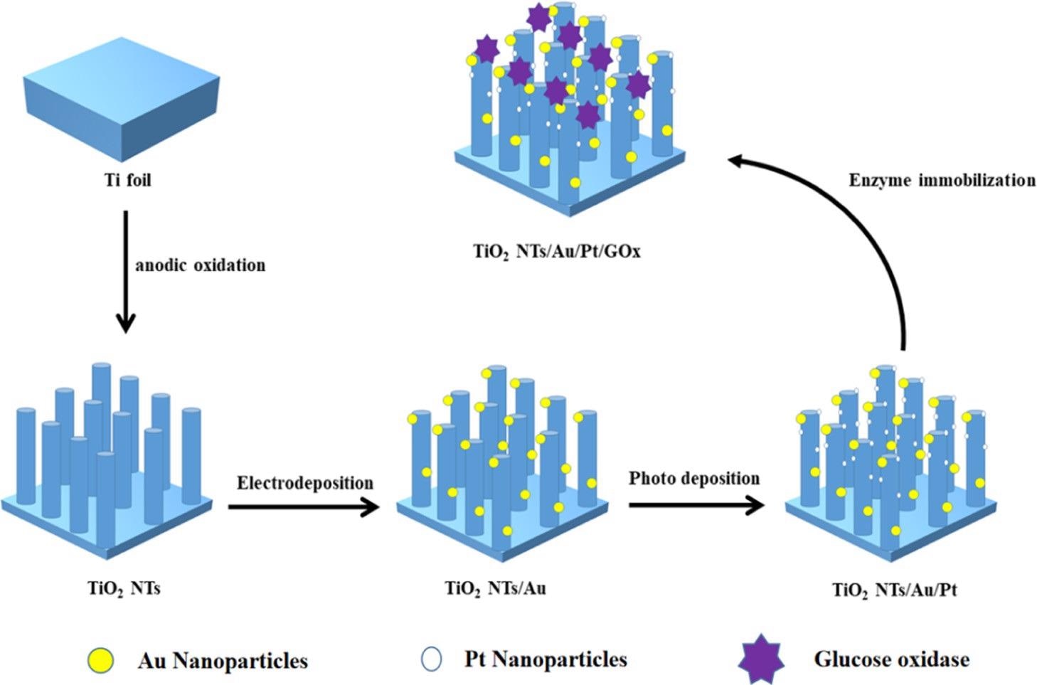 Manufacturing Process of the TiO2NTs/Au/Pt/GOx Biosensor.